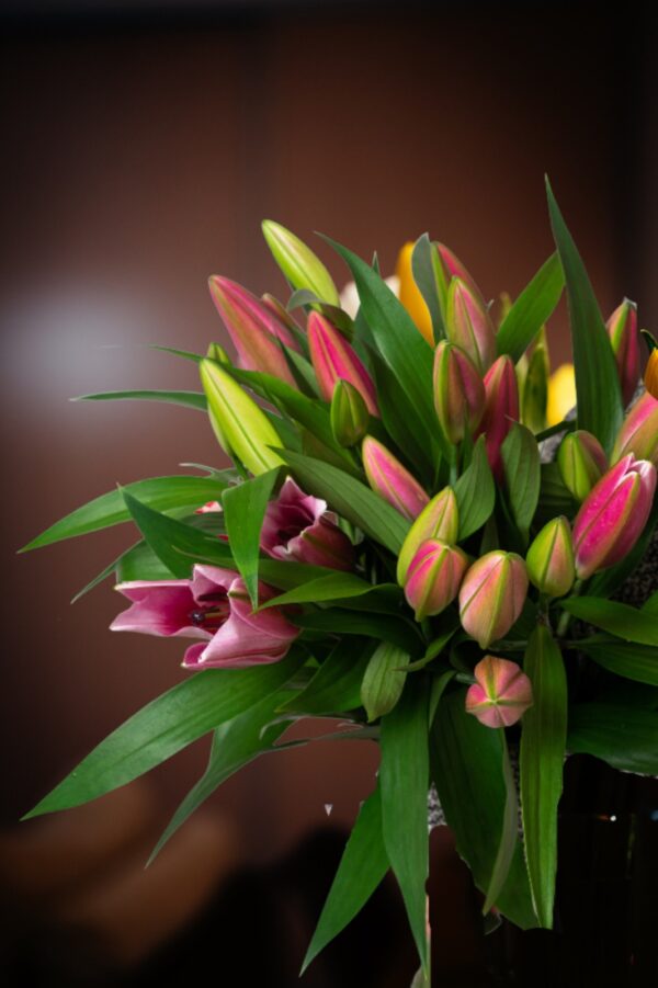 Pink Oriental Lilies