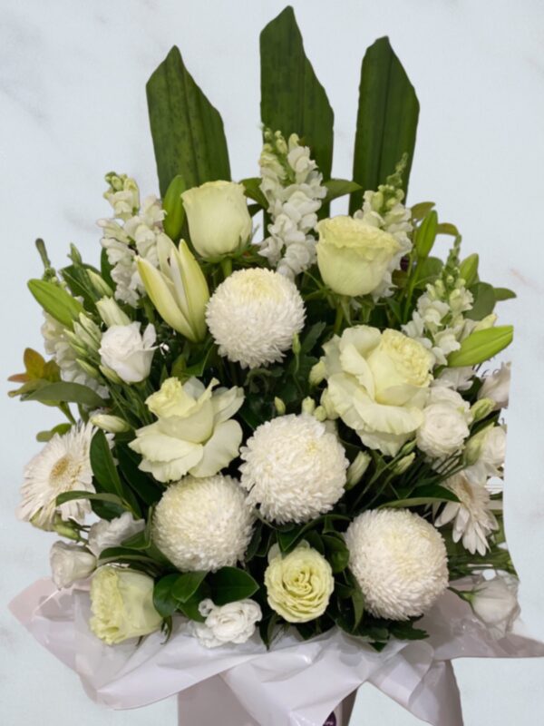 White Elegance